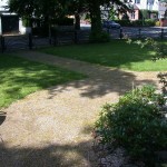 resin Bound Paving with weed growth