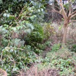 Garden Rubbish Mansfield