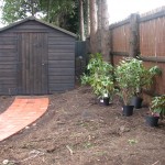 uncovered a path to the shed