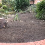 curved path to shed