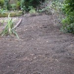 quality soil