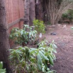 plants now in place