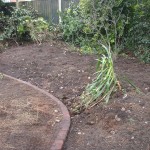edgings which define areas
