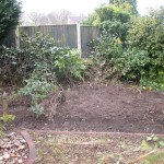 garden clearance