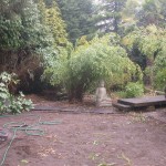 Mansfield Garden work in progress