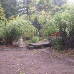 established Mansfield garden area