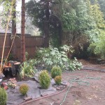 Drive-Cote Ltd Garden project