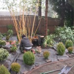 BBamboo scaled down on Mansfield Garden project