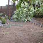 Mansfield Garden Project being set out