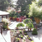 ariel view mansfield garden project