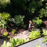 mansfield garden project