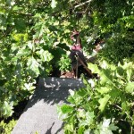 |Drive-Cote Ltd ariel view